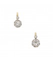 Diamonds and gold earrings