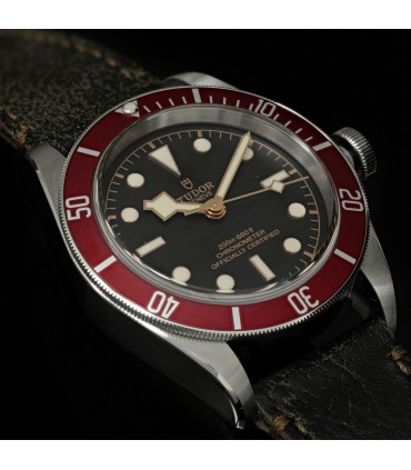 Montre Tudor Heritage Black Bay