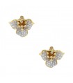 Diamonds and gold earrings