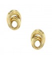 Gold earrings