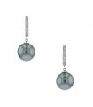 Diamonds and cultured pearl earrings