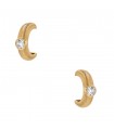 Diamonds and gold earrings