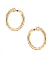 Chaumet diamonds and gold earrings