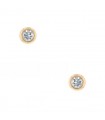 Diamonds and gold earrings