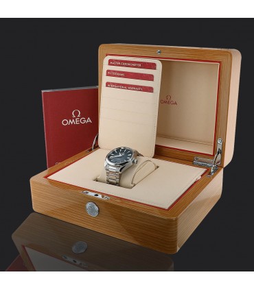 Omega Seamaster Aqua Terra stainless steel watch