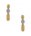 Nanis diamonds and gold earrings