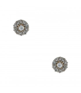 Diamonds and gold earrings