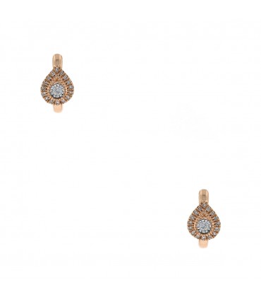 Diamonds and gold earrings