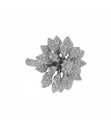 Diamonds and gold ring