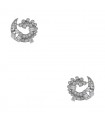 Diamonds and gold earrings