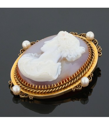 Sheel cameo, gold and cultured pearls brooch