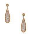 Diamonds and gold earrings