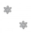 Diamonds and gold earrings