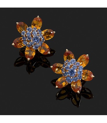 Van Cleef & Arpels Hawaï earrings