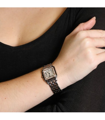 Cartier Panthère diamonds, gold and stainless steel watch