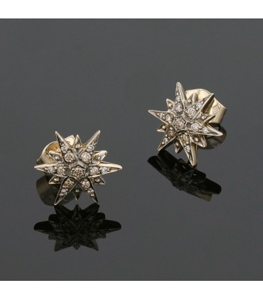 H. Stern diamonds and gold earrings