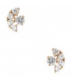 Diamonds and gold earrings