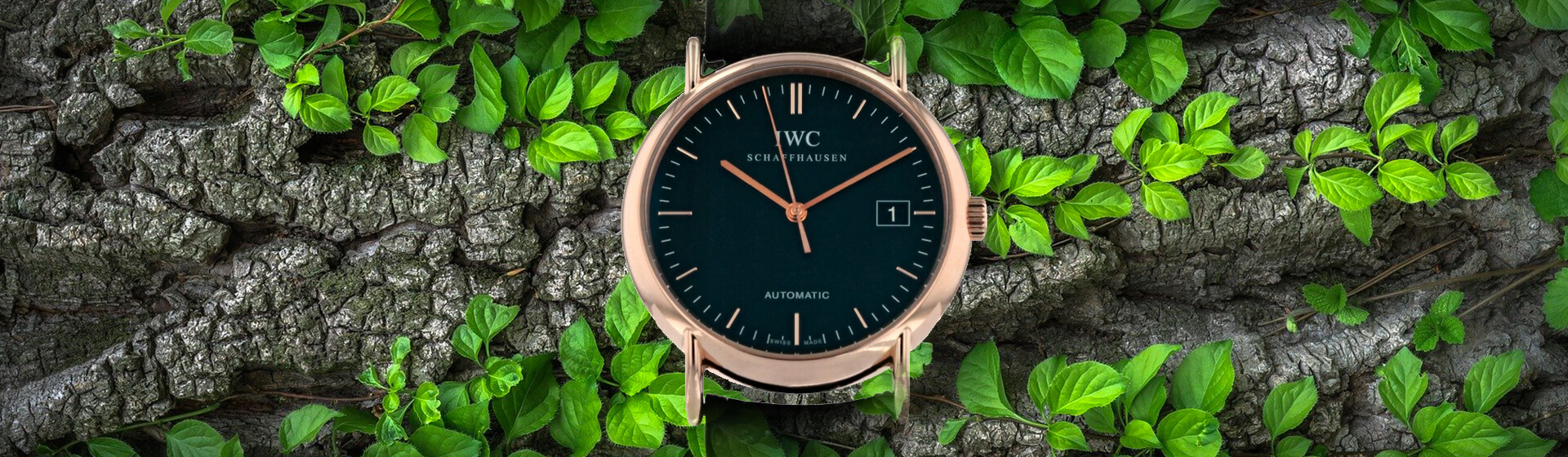 IWC